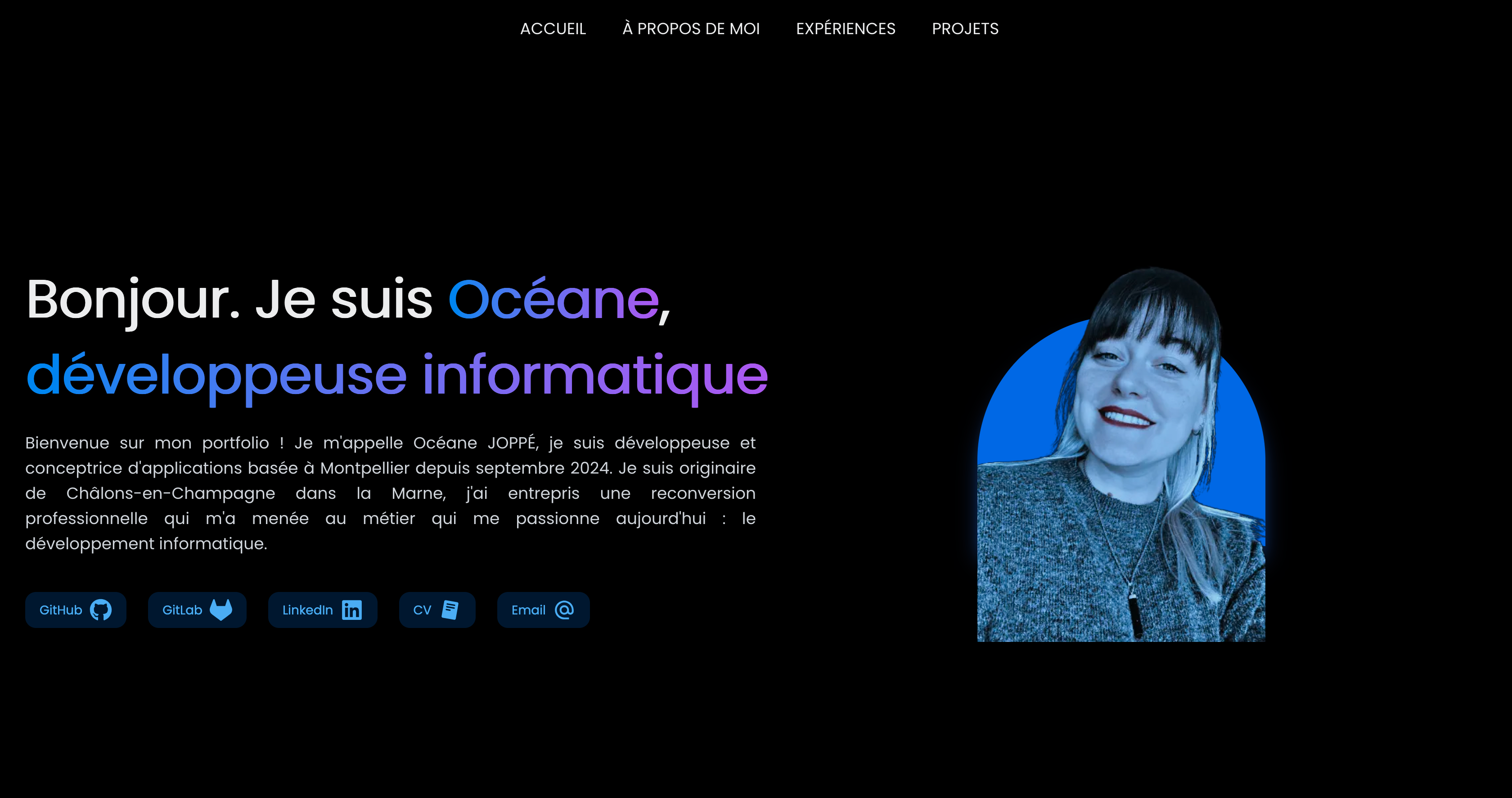 Visuel du Portfolio